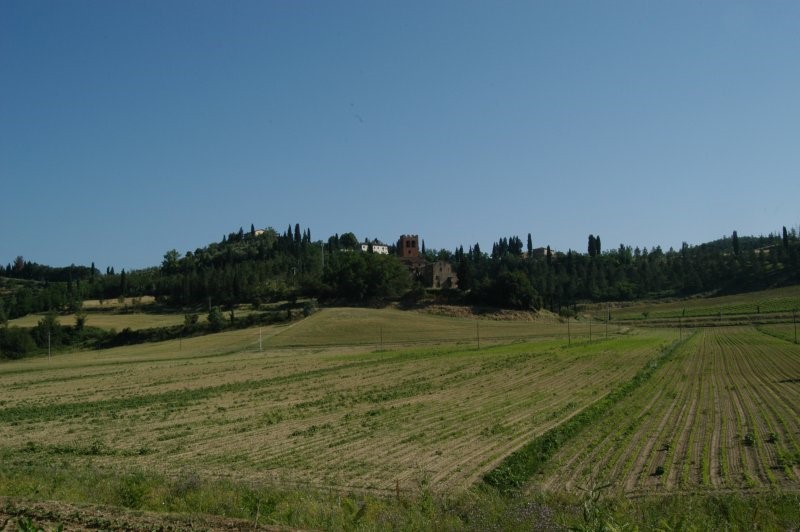 BIBBONA CAMPAGNA